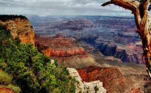 Gran Cañón Colorado