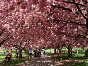 Resultado de imagen de primavera en estados unidos