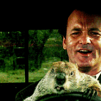 Feliz día de la marmota